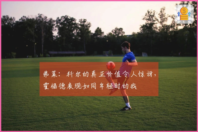 弗莱：科尔的真正价值令人惊讶，霍福德表现如同年轻时的我