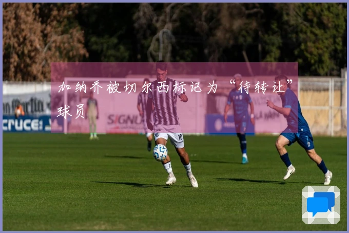 加纳乔被切尔西标记为“待转让”球员