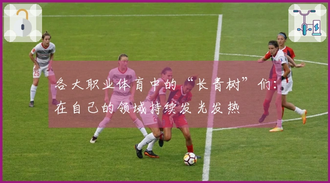 各大职业体育中的“长青树”们：在自己的领域持续发光发热