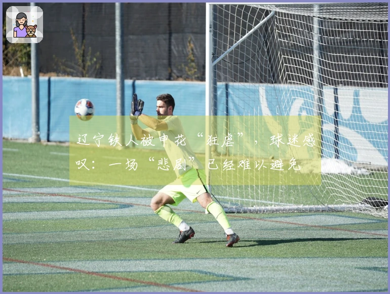 辽宁铁人被申花“狂虐”，球迷感叹：一场“悲剧”已经难以避免